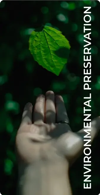 image-removebg-preview - 2024-09-05T145901.061